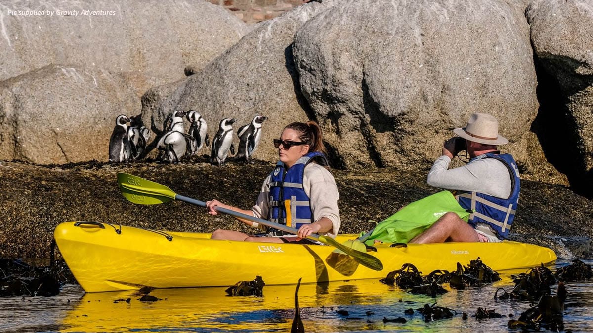 Lekker Albatross kayak — Gravity Albatross, photo 43 of 46