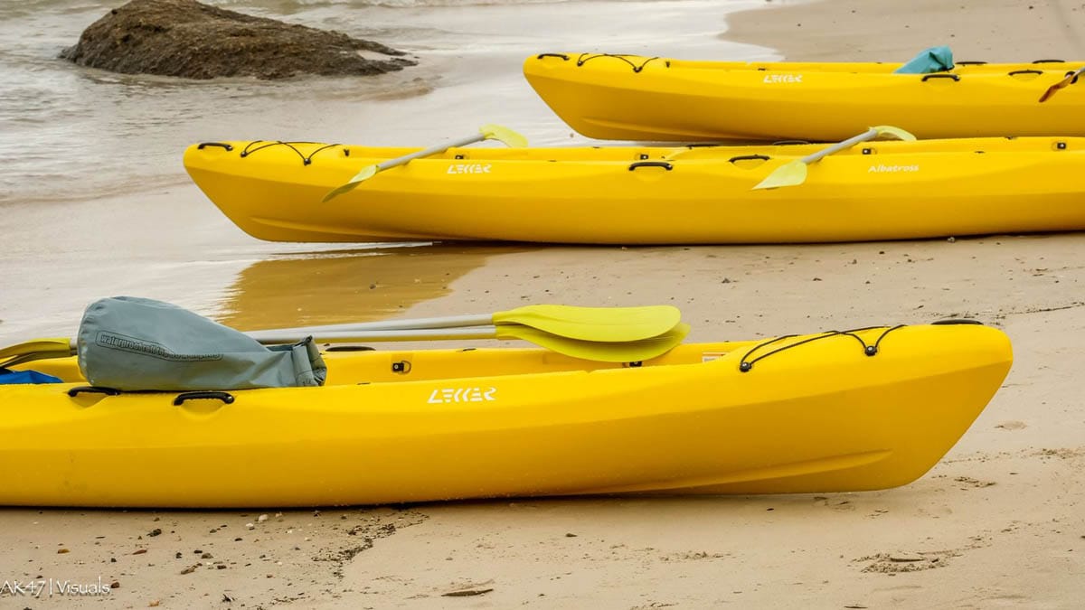 Lekker Albatross kayak — Gravity Albatross, photo 44 of 46