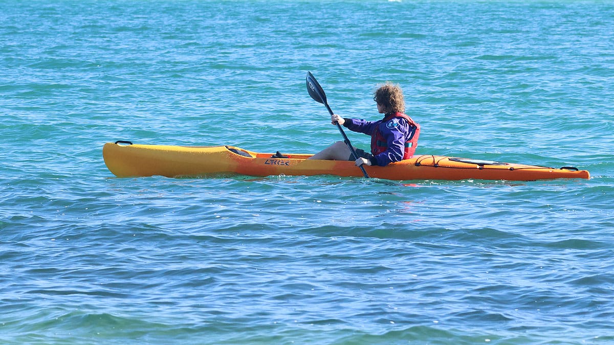 Lekker Gull kayak — Langebaan, photo 16 of 32