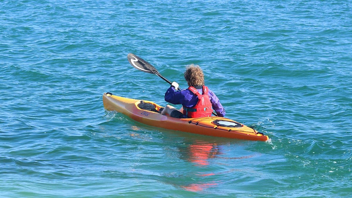 Lekker Gull kayak — Langebaan, photo 17 of 32