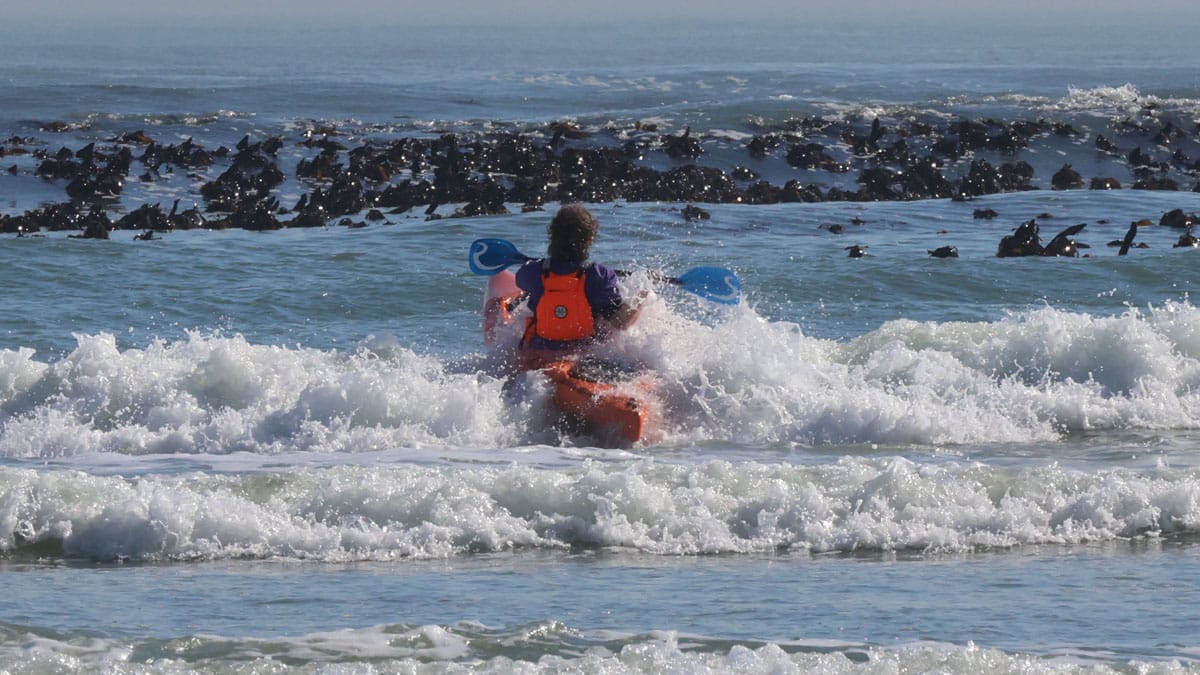 Lekker Gull kayak — Ruben, photo 23 of 32