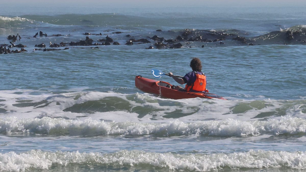 Lekker Gull kayak — Ruben, photo 24 of 32