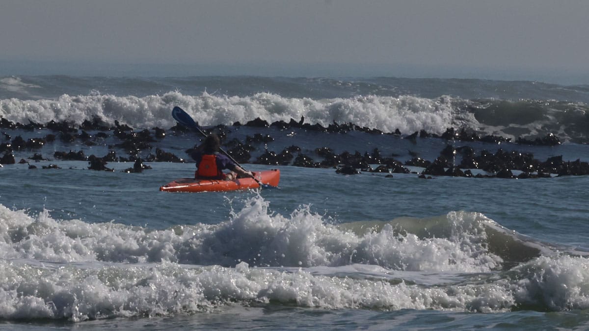 Lekker Gull kayak — Ruben, photo 25 of 32