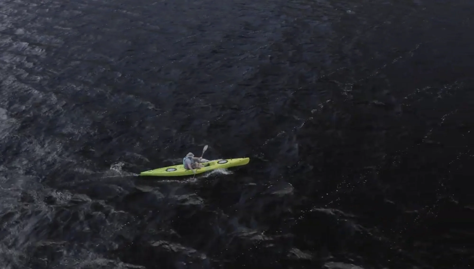 A Lekker Petrel crossing open water, seen from above